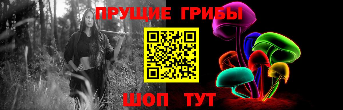 Псилоцибиновые грибы прущие грибы Сердобск