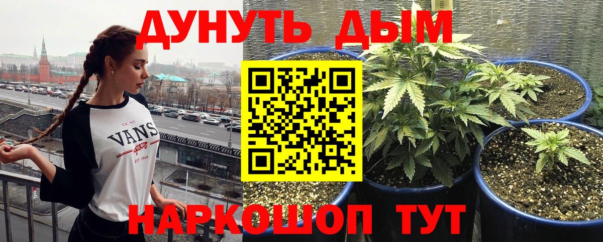 Сердобск  Каннабис конопля  Каннабис конопля  Вход с VPN  Канабис ГИДРОПОН  Канабис White Widow 